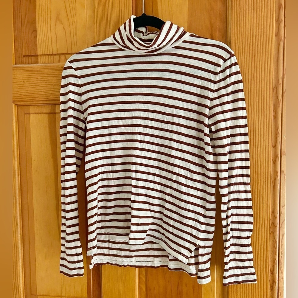 Madewell Whisper Cotton Turtleneck in Baker Rust Stripe